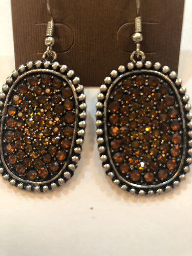 Brown earrings
