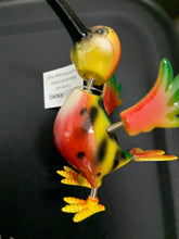 Load image into Gallery viewer, Bird bobble head magnet collar is off of the head