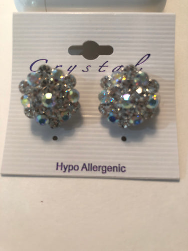 Earrings clip