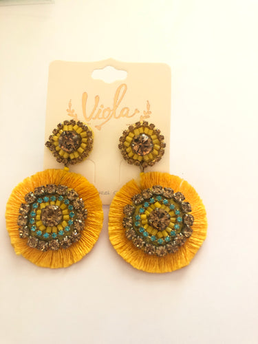 Earrings 309
